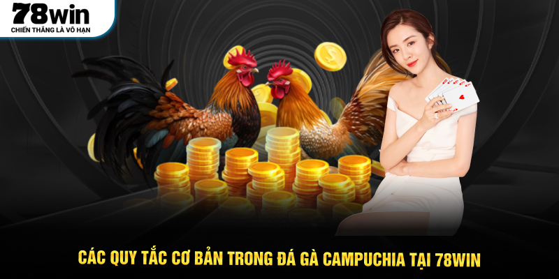 Các quy tắc cơ bản trong Đá gà Campuchia tại 78WIN